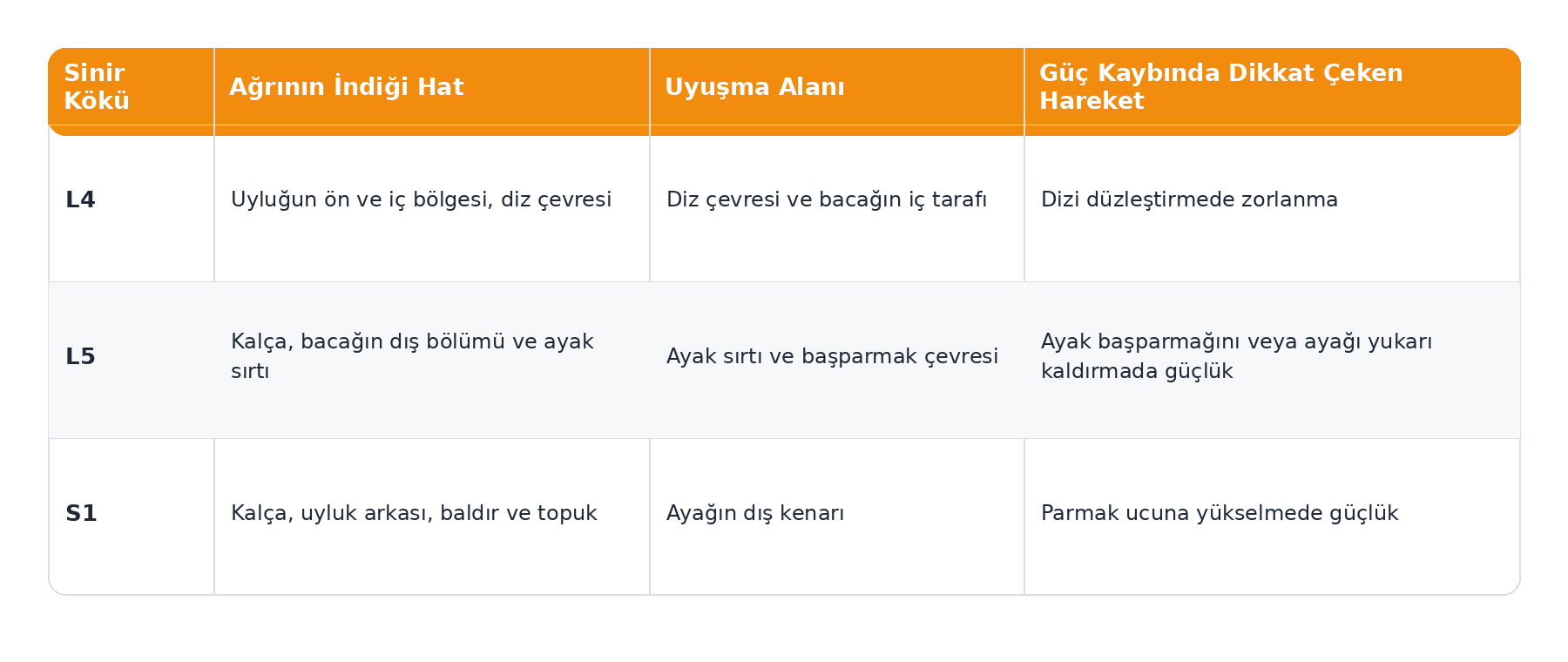 siyatik-agrisi-nereye-vuru